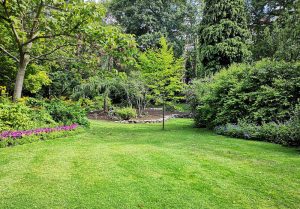 Optimiser l'expérience du jardin à Ozenx-Montestrucq